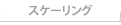 スケーリング