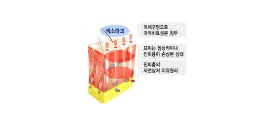 21a3b6697f688ca5e837ee8b28be72f2