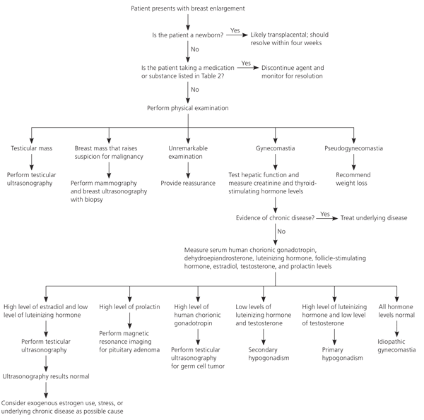 Gynecomastia_algorithm