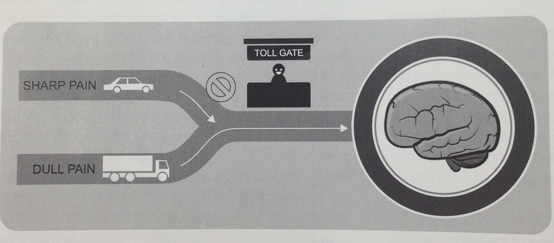 Gate Theory
