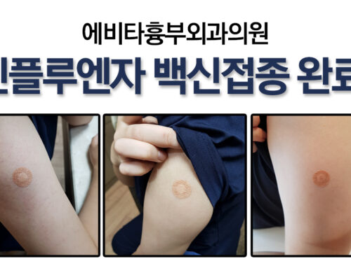 에비타흉부외과의원 인플루엔자 백신 접종 완료