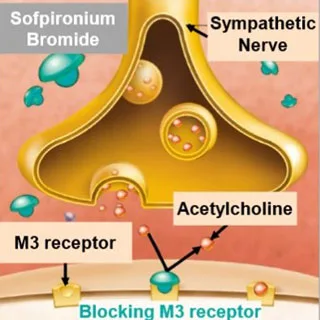 sofpironium_bromide 소프리니움 브롬화물 작용기전